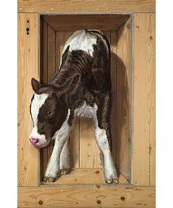 Johan Mulder, Calf