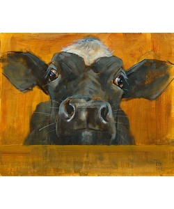 Theo Onnes, Curious calf against Gold