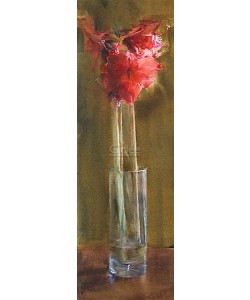 Dorry van de Winkel, Amaryllis