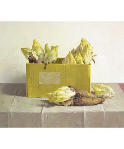 Henk Helmantel, Chicory in a yellow box