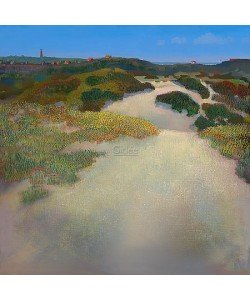 Ton Dubbeldam, Schiermonnikoog