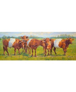 Geke Steenmetz, Lakenvelder cattle