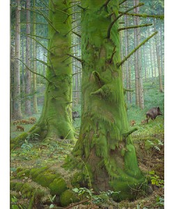 Frima, Het Mossenbos