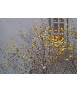 Kolk, Herfst - huismussen