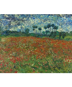 Vincent van Gogh, Mohnfeld. 1890