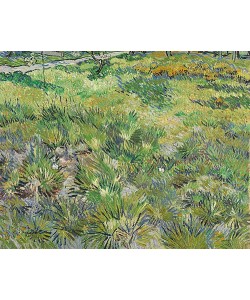 Vincent van Gogh, Langes Gras mit Schmetterlingen. 1890