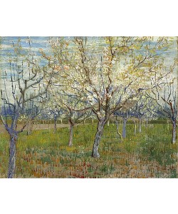 Vincent van Gogh, Rosa Obstgarten. 1888