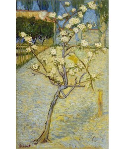 Vincent van Gogh, Kleiner blühender Birnbaum. Arles, April 1888.