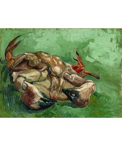Vincent van Gogh, Krebs, auf dem Rücken liegend. Arles, 1889.
