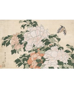 Katsushika Hokusai, Rosafarbene und rote Pfingstrosen und ein Schmetterling.