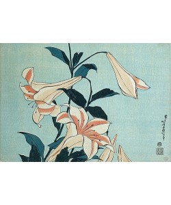 Katsushika Hokusai, Lilien.