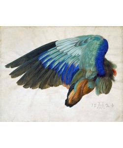 Albrecht (nach) Dürer, Flügel eines Vogels. 1524