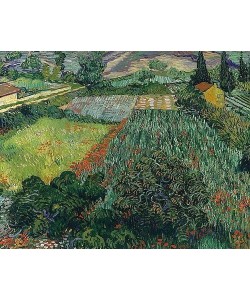 Vincent van Gogh, Mohnfeld. 1889.