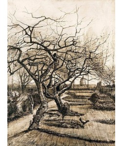 Vincent van Gogh, Der Garten des Pfarrhauses in Nuenen. 1884