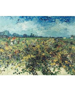 Vincent van Gogh, Der grüne Weingarten. 1888.