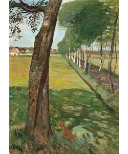 Otto Modersohn, Birkenallee mit Katze. 26.5.1903.