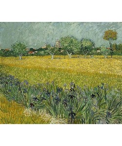 Vincent van Gogh, Feld mit Schwertlilien in der Nähe von Arles. Mai 1888.