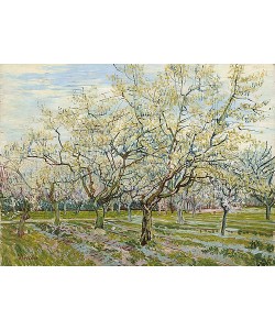 Vincent van Gogh, Der weiße Obstgarten. 1888