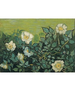 Vincent van Gogh, Wildrosen. 1889