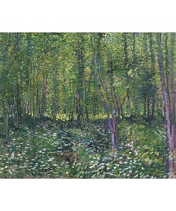 Vincent van Gogh, Bäume und Unterholz. 1887