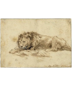 Rembrandt van Rijn, Liegender Löwe (Liggende leeuw). 1650-59