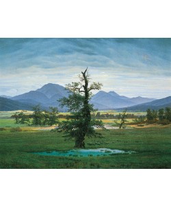 Caspar David Friedrich, DER EINSAME BAUM