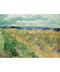 Vincent van Gogh, Weizenfeld mit Kornblumen, Auvers-sur-Oise. 1890