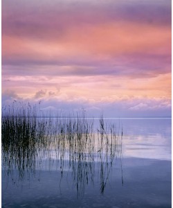 Gerd Weissing, ABENDSONNE I