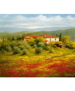 Heinz Schölnhammer, LANDSCHAFT MIT MOHN II