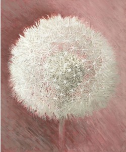 Elisabeth Verdonck, DANDELION CLOCK I