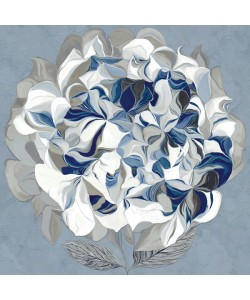 Sally Scaffardi, ELEGANT HYDRANGEA II