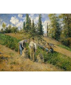Camille Pissarro, Die Ernte, Pontoise. / La Récolte, Pontoise.1881.