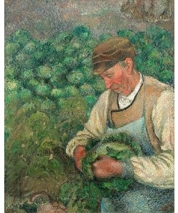 Camille Pissarro, Der Gärtner - alter Bauer mit Kohl. 1883-95