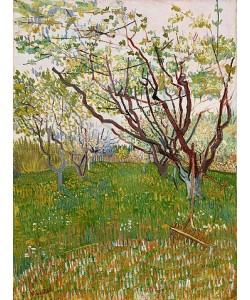 Vincent van Gogh, Blühender Obstgarten. 1888