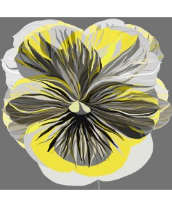 Sally Scaffardi, PANSIES I