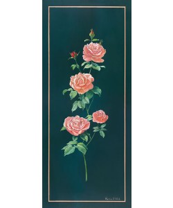 Karin v.d. Valk, ROSE