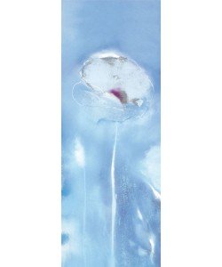 Marilyn Robertson, HIMALAYAN BLUE II