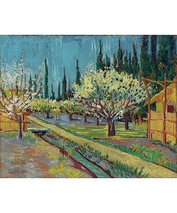 Vincent van Gogh, Obstgarten umgeben von Zypressen. 1888