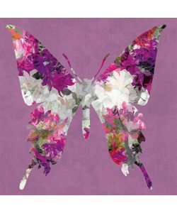 Sally Scaffardi, BUTTERFLY