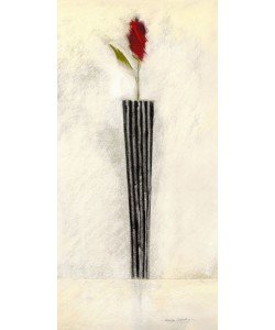 Marilyn Robertson, BLACK AND WHITE/ROSE-SINGLE I