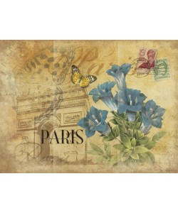 Jace Grey, PARIS II