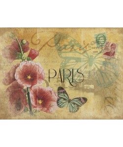 Jace Grey, PARIS IV