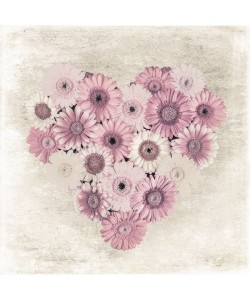 Assaf Frank, GERBERAS HEART