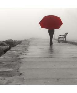 Sandro De Carvalho, RED UMBRELLA I