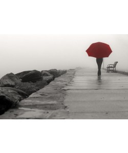 Sandro De Carvalho, RED UMBRELLA III