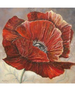 Rian Withaar, BOLD POPPY I