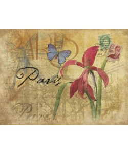 Jace Grey, PARIS III