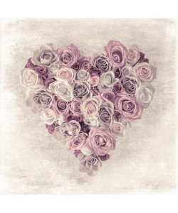 Assaf Frank, ROSE HEART