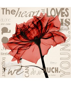 Albert Koetsier, FLOWER ORANGE II