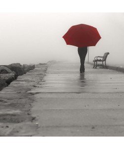 Sandro De Carvalho, RED UMBRELLA I
